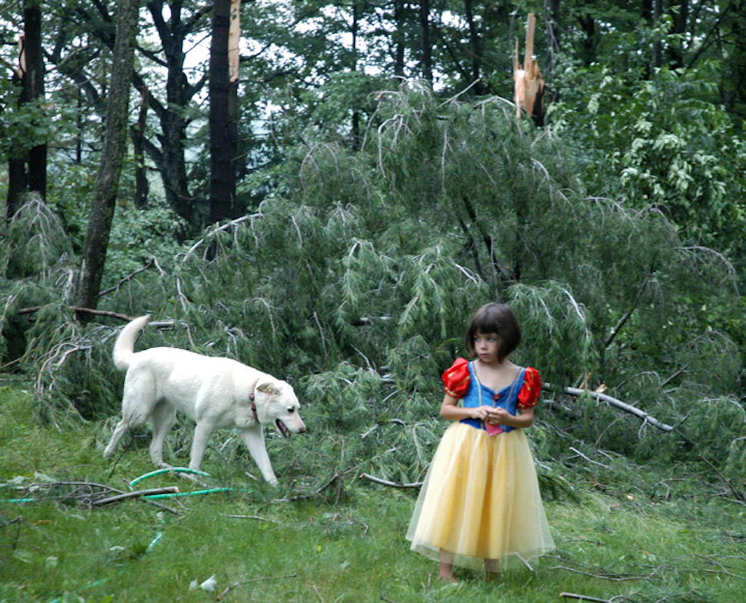 5-letnia Toria bawi się ze swoim psem Calgarym na podwórku, gdzie ulewa powaliła kilka drzew, Williamsburg, USA.